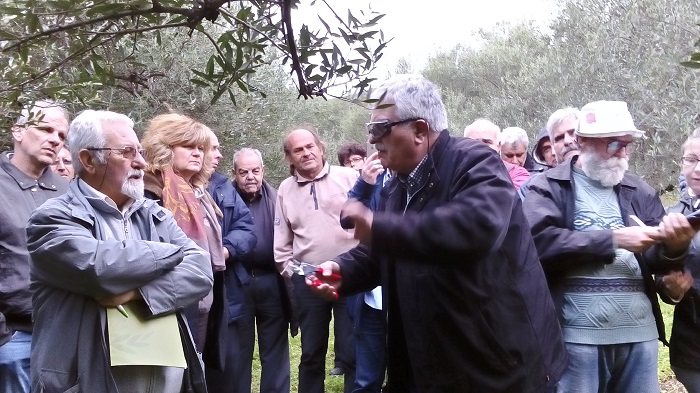 ΑGRON Παραγωγοί στα… θρανία, ακόμα και μέσα στους ελαιώνες ΑGRON Παραγωγοί στα… θρανία, ακόμα και μέσα στους ελαιώνες